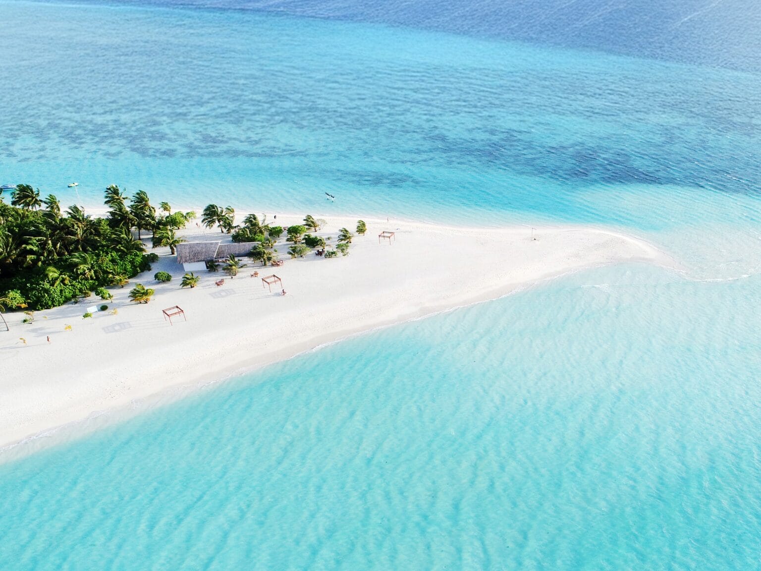 Playas en Maldivas con una lengua de arena blanca rodeada de aguas turquesas cristalinas y palmeras tropicales, ideal para relajarse y disfrutar del paisaje exótico.