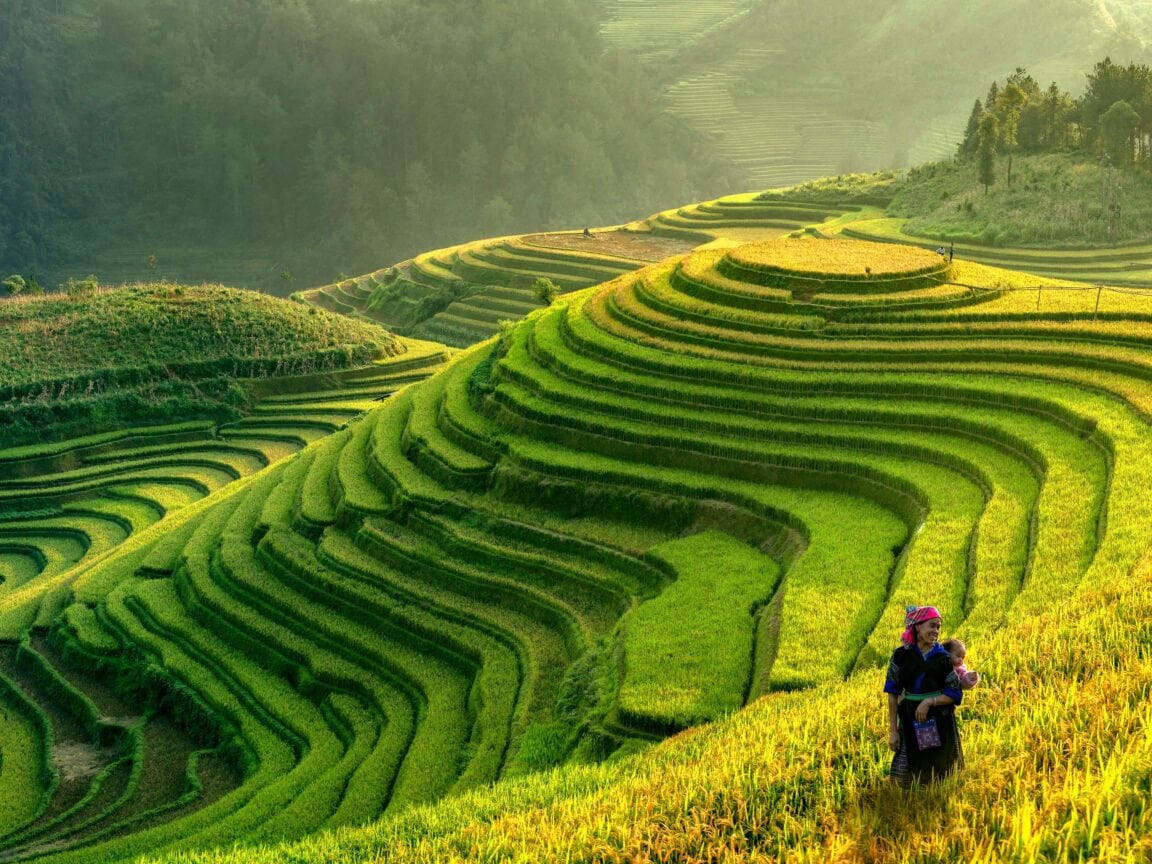 Vista del interior de Vietnam